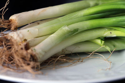 High angle view of vegetables in plate on table