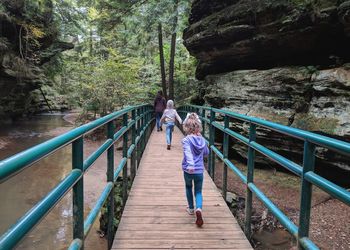 Rear view of people walking on footbridge in forest