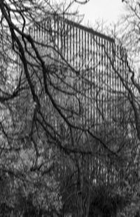 Close-up of bare trees against sky