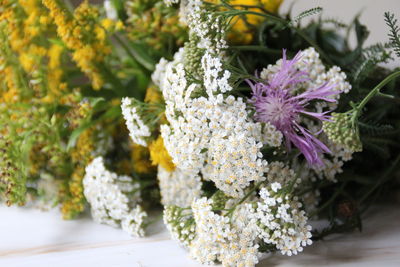 Close-up of purple flowering plant on table