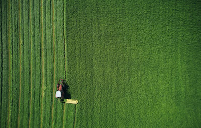 Compact tractor making even harrows on green field