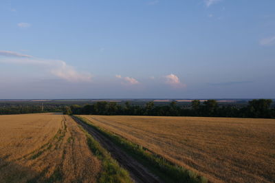 Scenic view of agricultural field against sky