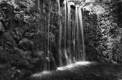 Scenic view of waterfall in forest