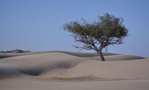 Scenic view of desert against clear blue sky