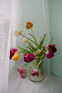 Close-up of white flowers in vase