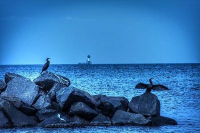 Scenic view of sea against blue sky