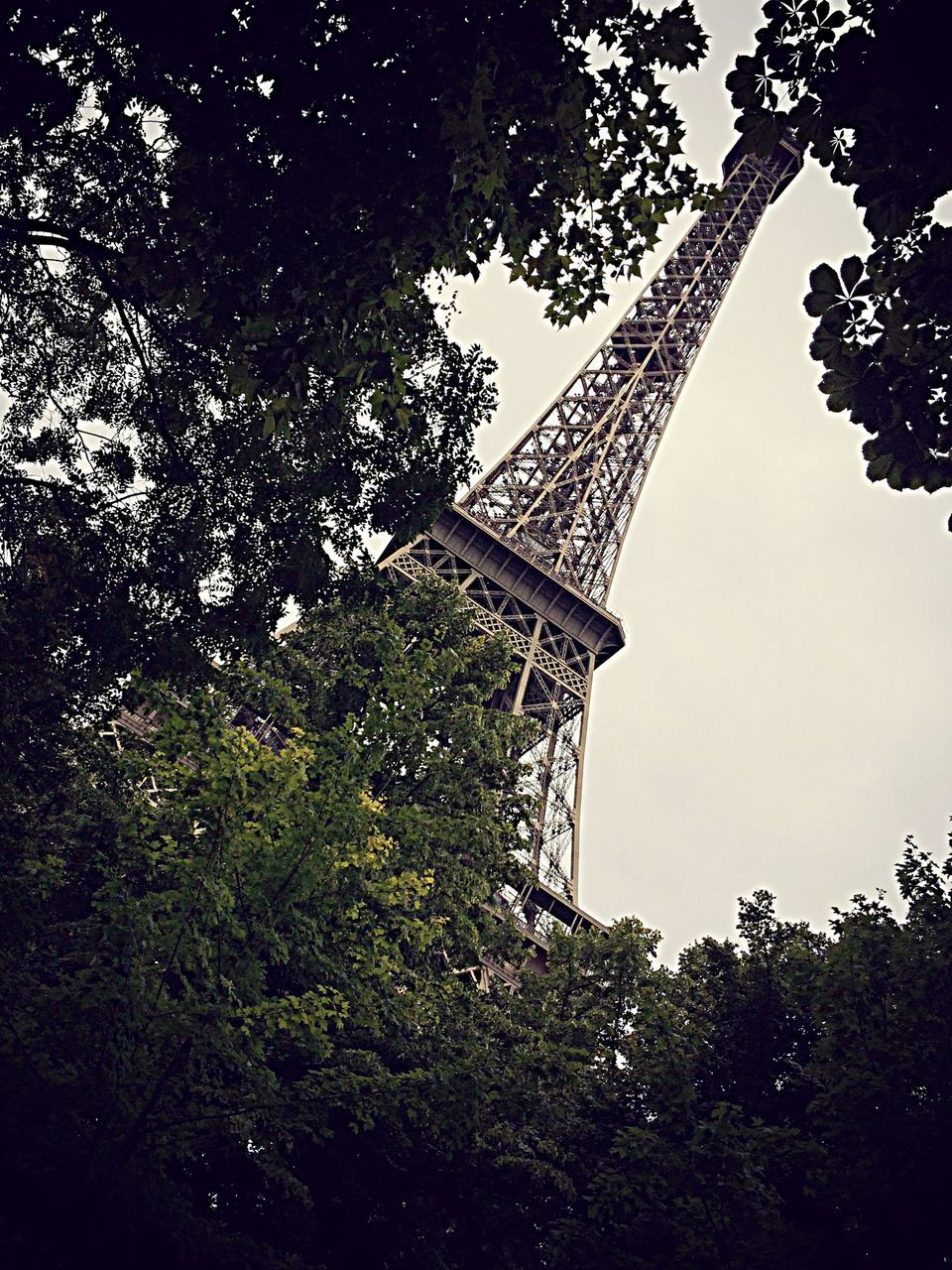 low angle view, tree, built structure, architecture, clear sky, famous place, sky, tower, travel destinations, branch, growth, eiffel tower, building exterior, history, tall - high, outdoors, no people, international landmark, culture, tourism