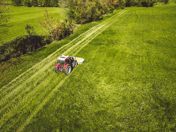 People walking on grassy field