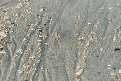 Full frame shot of sand