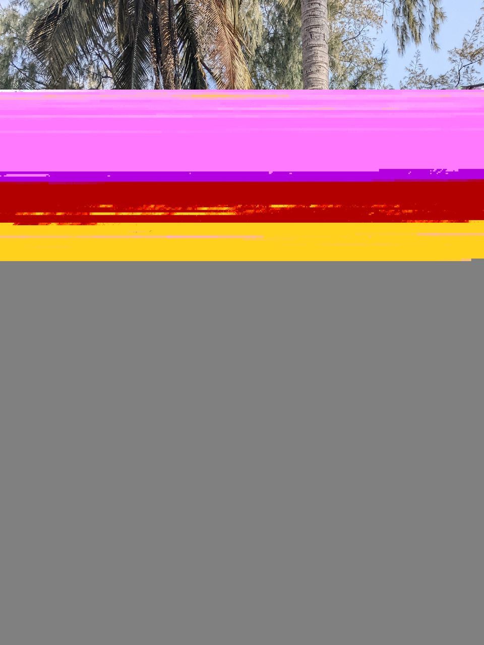 multi colored, no people, copy space, line, tree