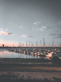 Sailboats moored in harbor at sunset