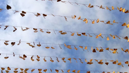 Low angle view of flags against blue sky