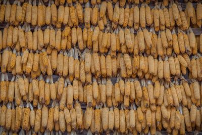 Full frame shot of corns hanging at market