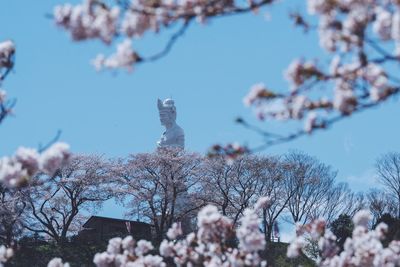 Low angle view of pink flowers against sky