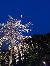 Low angle view of flowering plants against clear blue sky