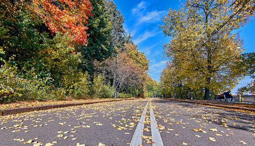 Road amidst trees against sky during autumn