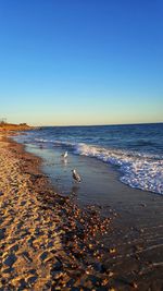 Scenic view of beach against clear sky