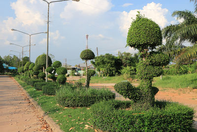 Trees on field against sky