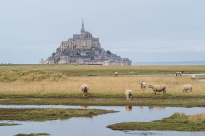 View of the mont saint-michel, france