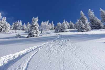 Snow covered field against sky