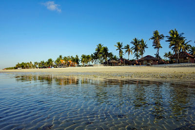 Scenic view of calm sea against clear sky