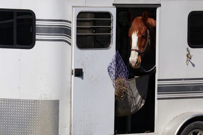 Reflection of car on mirror