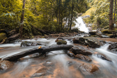 Stream flowing through rocks in forest