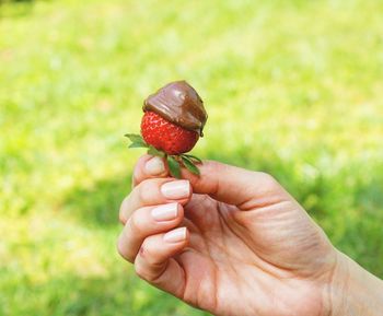 Cropped hand holding strawberry