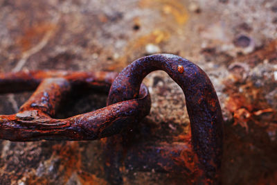 Links of rusty chain mounted into an old concrete construction