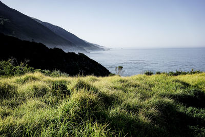 Scenic view of sea against clear sky