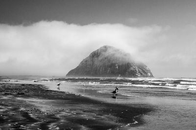 Man standing on beach against sky