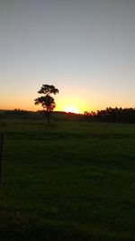 Silhouette trees on field against clear sky at sunset