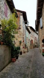 Walkway amidst houses