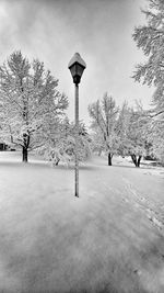Man walking on snow covered trees against sky