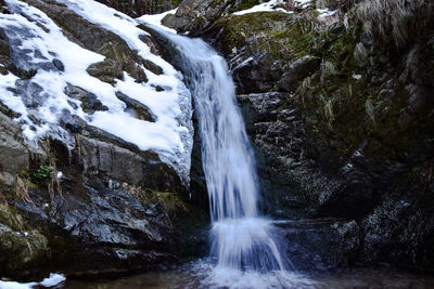 Scenic view of waterfall in forest