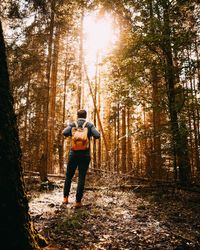 Rear view of man standing in forest