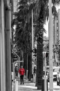 Rear view of woman walking on street in city