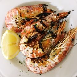 Close-up of seafood in plate