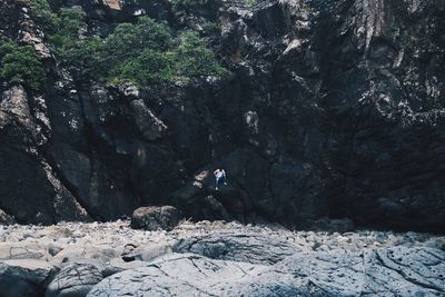 Trees on rocks