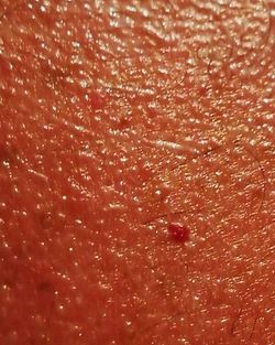 Full frame shot of red background