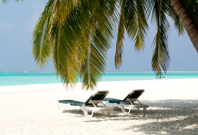 Chairs and palm tree on beach against sky
