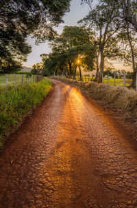 Road amidst trees against sky