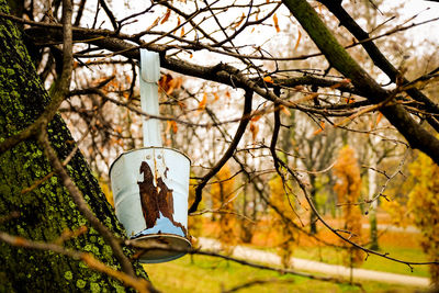 Metal container hanging from bare tree during autumn