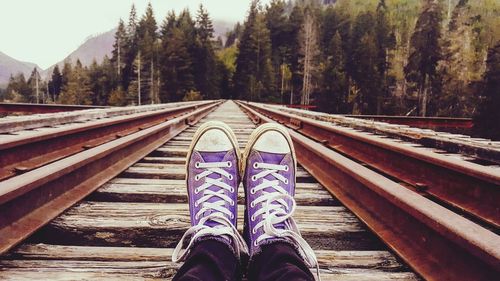 Low section of person on railway tracks against trees