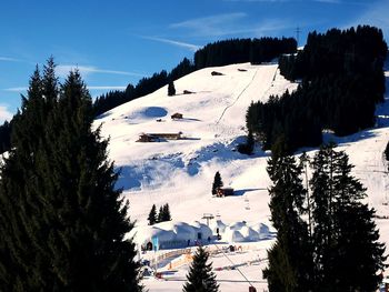 Panoramic view of trees on snow covered landscape