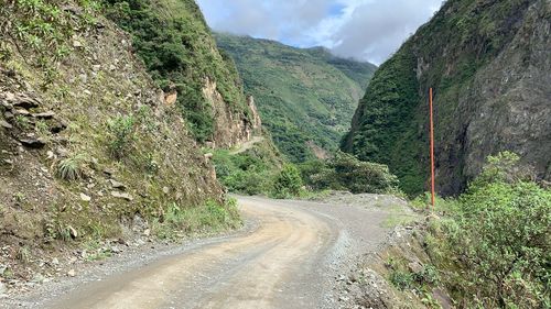 Road amidst plants and mountains
