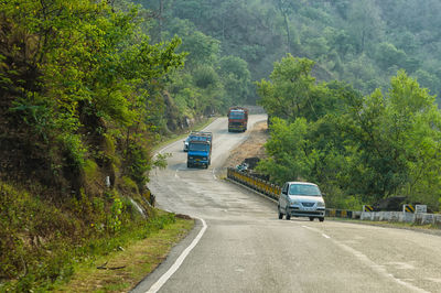 Car on road by trees