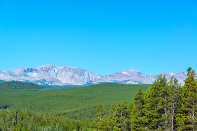 Scenic view of landscape against clear blue sky