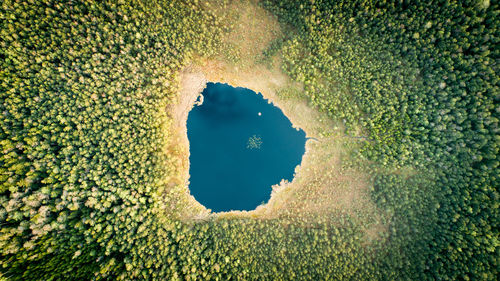 Close-up of heart shape hole in tree