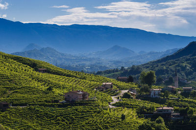 Scenic view of agricultural field against sky